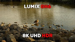 Lumix GH6 - 8K Sample Shots - HDR