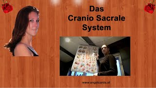 Das Cranio Sacrale System - Humanenergetik Angela Dangl