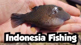 Catching Beautiful Tropical Fish on Bali | Indonesia Fishing 🇮🇩