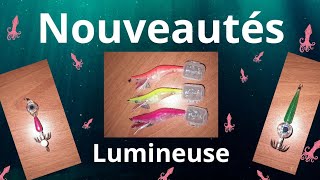 Partie 9 ) des nouveautés pour la pêche aux calamars