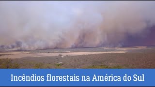 Incêndios florestais na América do Sul provocam emissões de carbono