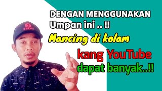 DENGAN UMPAN INI,MANCING DI KOLAM KANG YOUTUBE DAPAT BANYAK || FISHING IN THE YOUTUBE POOL GET A LOT