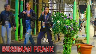 EP-26 GRANDAMA SREAMING 😱🔊 SO LOUDLY 🤣🤣 ! Bushman Prank! Bushman Prank New Video ! Funny Reaction !