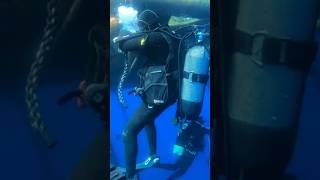 Secuences248 #video #sorts #big #blue #⚓ blue waters #🦈🔱