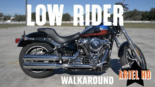 Used Motorcycle For Sale in Florida - Harley-Davidson 2019 Low Rider - stock #UDE7871