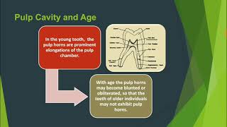 300 Dental Anatomy Facts- High Yield #5 INBDE