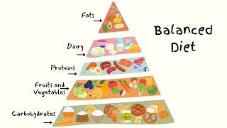 Balanced Diet | Science | Education For Kids