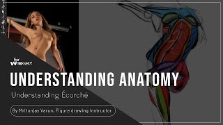 Écorché in human anatomy by Varun Mritunjay