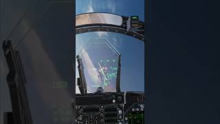 DCS: F/A-18 Hornet vs Tu-142 Bear Russian Anti-Ship Aircraft - Aim-120 AMRAAM & Guns #sim