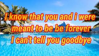 I can't say goodbye to you by Helen Reddy Lyrics