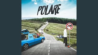 Polare