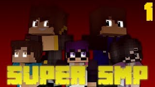 Super SMP Ep1/1 | Team ̶P̶E̶R̶M̶ PAINT