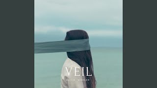 Veil