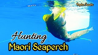 Spearfishing Wawosunggu Indonesia || Keindahan Alamnya sampai Ke Dasar Laut