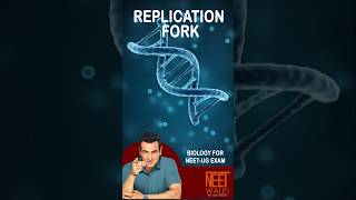 DNA Replication Fork | Molecular Basis of inheritance | BIOLOGY FOR NEET | #neet #biology #science