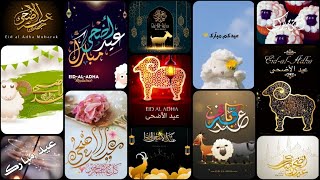 Eid ul adha Mubarak dp💖🎉🐑 - Eid Mubarak dp in Urdu 😎 - Eid Mubarak images - Eid Mubarak photos - Dps