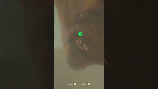 Link literally has to become Spider Man for a korok #shorts #botw #nintendo #zelda #gaming #viral