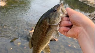 Bass Fishing The James River During The Fall Transition