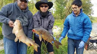 2017 Carp Fishing at Fanshawe - London