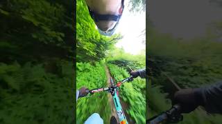 Skillz Practice#shorts#short#shortvideo#mtb#mtblife#mtblove#downhill#mtblifestyle#insta360#cycling