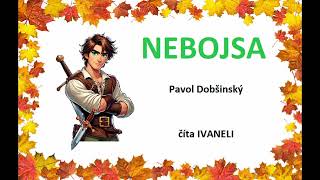 Pavol Dobšinský - NEBOJSA (audio rozprávka)