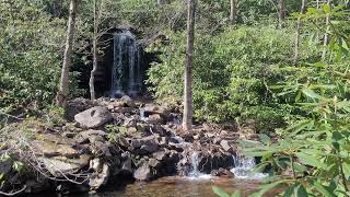 Zooming in on a Bear Creek waterfall (2022)