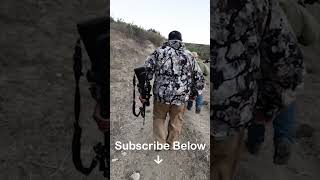 Hunting Feral Pigs In Central California #shorts