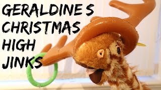 Geraldine's Christmas High Jinks