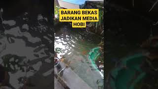 Part 1 || Barang bekas dan lahan sudah tidak terpakai bisa dijadikan media hobi kalian #ikan #chana