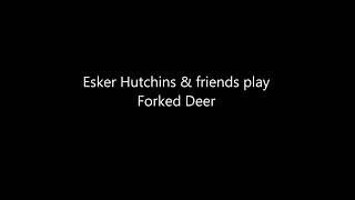 Esker Hutchins plays Forked Deer