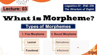 Morpheme | Types of Morphemes | Free Morphemes & Bound Morphemes