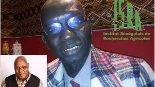 Le coq chante sur RFI,   La valorisation du secteur agricole au Sénégal Par Sayouba Traoré