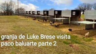 mejores galleras del mundo granja de Luke Brese visita paco baluarte parte 2