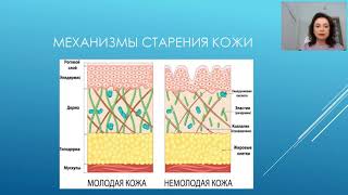 Светлана Ковалева (врач-косметолог, трихолог) "ЭКСПЕРТНЫЙ ВЗГЛЯД КОСМЕТОЛОГА НА ПРОДУКЦИЮ MONMIO"