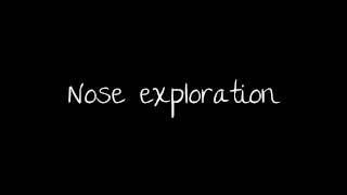 Nose exploration