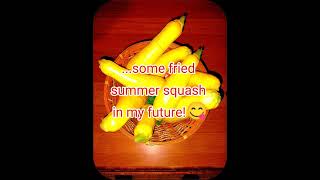 Fried summer squash fresh from the garden #gardening #vegetables #summersquash #recipe