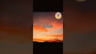 El camino de Dios está lleno de Paz.😇🙏 #shortvideo #amorpropio #atardecer #Bendiciones #DiosTeAma