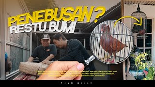 AKHIRNYA KETEMU MERPATI PIYIK ANAK CAKRABUMI