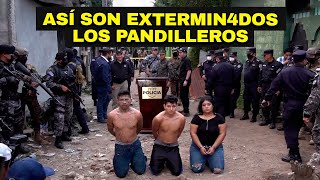 ¡El ÚNICO ejército en EXTERMlNAR a una ORGANIZACIÓN CRIMlNAL!