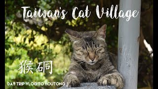 Taiwan's Cat Village ~ Day Trip To Houtong