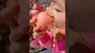 Real china apple fruit | चाइना का असली सेब #shorts