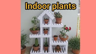 Tips on  how you can make your indoor and outdoor compound with varieties of flower plants