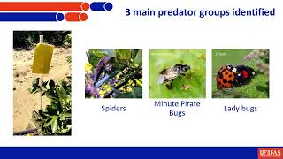 Improving Habitats for Citrus Grove Predators