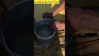 jaggery making دیسی گڑ #youtubeshorts #shorts #jaggery #jaggeryrecipe