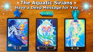 🔷 Sirius B 🔷 The Aquatic Sirians Have a Message for You 🔷 Timeless Tarot Reading 🔷