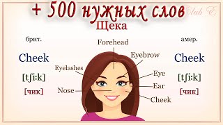 Полезный Словарь💥500 английских слов на все популярные темы❗