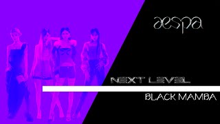 AESPA- NEXT LEVEL + BLACK MAMBA ( Award Show Perf. Concept )