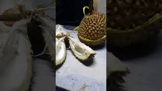 BUK DE DATANG! EH ADA DURIAN!! HAJJAH TIDAK MELET KATANYA!! TAPI SEBENARNYA DIA SANGAT PENGEN SEKALI