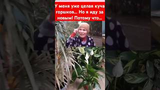 Вы когда-нибудь покупали ещё одно растение,когда дома уже некуда ставить? #shorts #квіти #сад #цветы