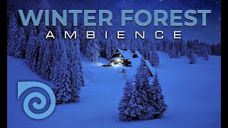 WINTER FOREST - SOUNDS FOR SLEEP AND RELAXATION, MEDITATIVE SOUNDSCAPE